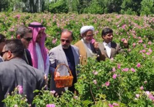 سرقت بزرگ عربستانی ها از ایران