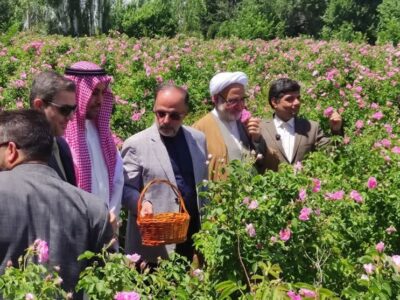 سرقت بزرگ عربستانی ها از ایران