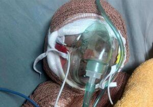 رایان؛ کم سن‌ترین شهید ایران