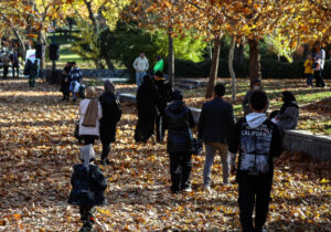 چگونه در پاییز انرژی و شادابی خود را حفظ کنیم