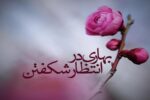 منتظرِ واقعی کسی است که امروز در مسیرِ حق زندگی کند