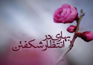 منتظرِ واقعی کسی است که امروز در مسیرِ حق زندگی کند