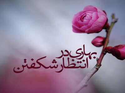منتظرِ واقعی کسی است که امروز در مسیرِ حق زندگی کند