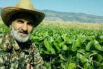 شهید عبدالرشید رشوند